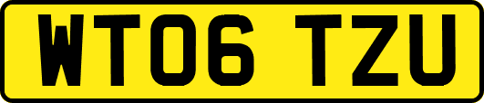 WT06TZU