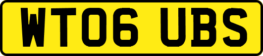 WT06UBS