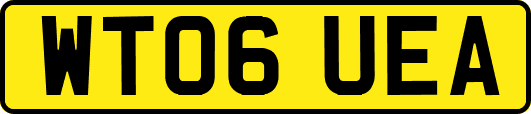 WT06UEA