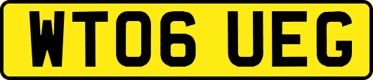 WT06UEG