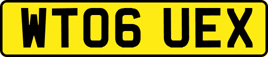 WT06UEX