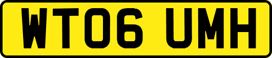 WT06UMH