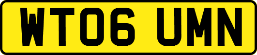 WT06UMN