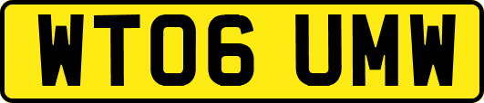 WT06UMW