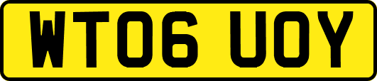 WT06UOY