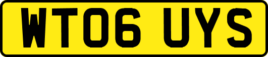 WT06UYS