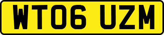 WT06UZM