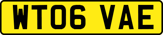 WT06VAE