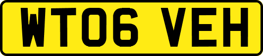 WT06VEH
