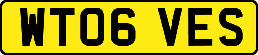 WT06VES