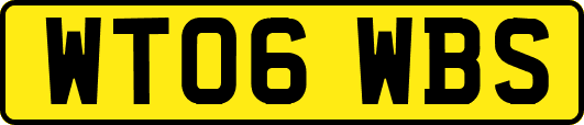 WT06WBS