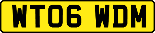 WT06WDM