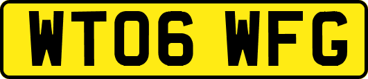 WT06WFG
