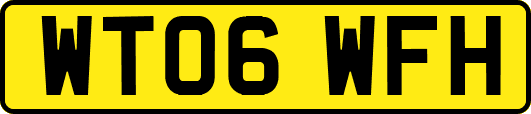 WT06WFH