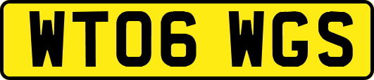 WT06WGS