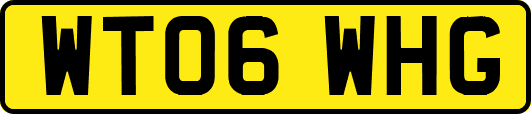 WT06WHG