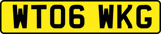 WT06WKG