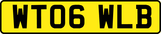 WT06WLB
