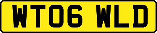 WT06WLD