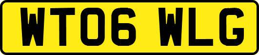 WT06WLG