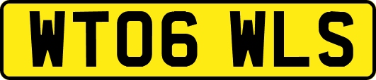 WT06WLS
