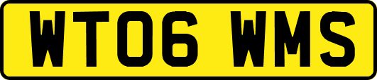 WT06WMS