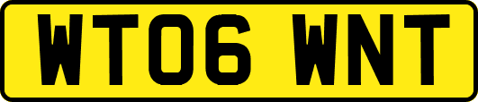 WT06WNT