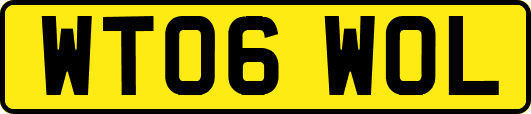 WT06WOL