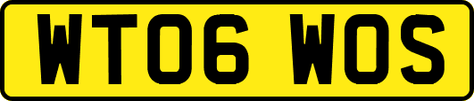 WT06WOS