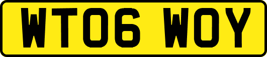 WT06WOY