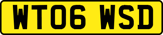WT06WSD