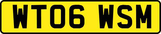 WT06WSM