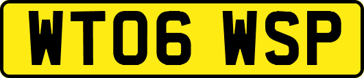 WT06WSP