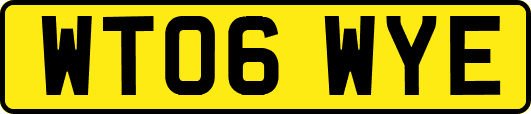 WT06WYE