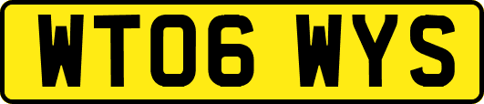 WT06WYS