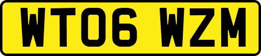 WT06WZM