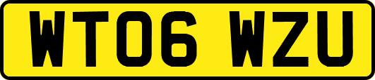 WT06WZU