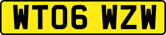 WT06WZW
