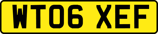 WT06XEF