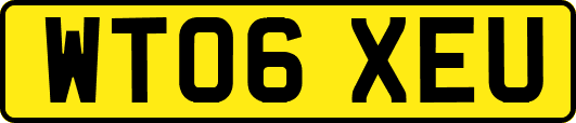 WT06XEU