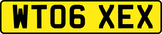 WT06XEX