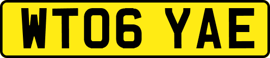 WT06YAE