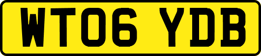 WT06YDB