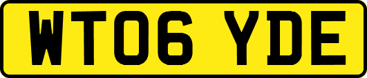WT06YDE