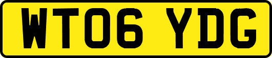 WT06YDG