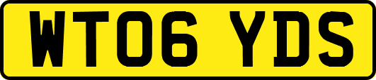 WT06YDS