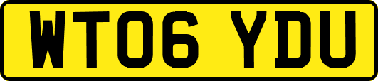 WT06YDU