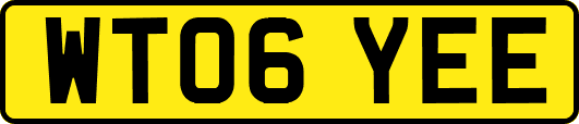 WT06YEE