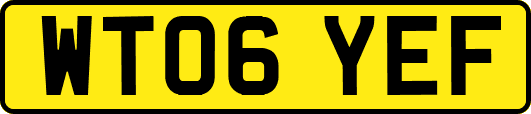 WT06YEF
