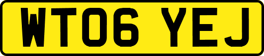 WT06YEJ